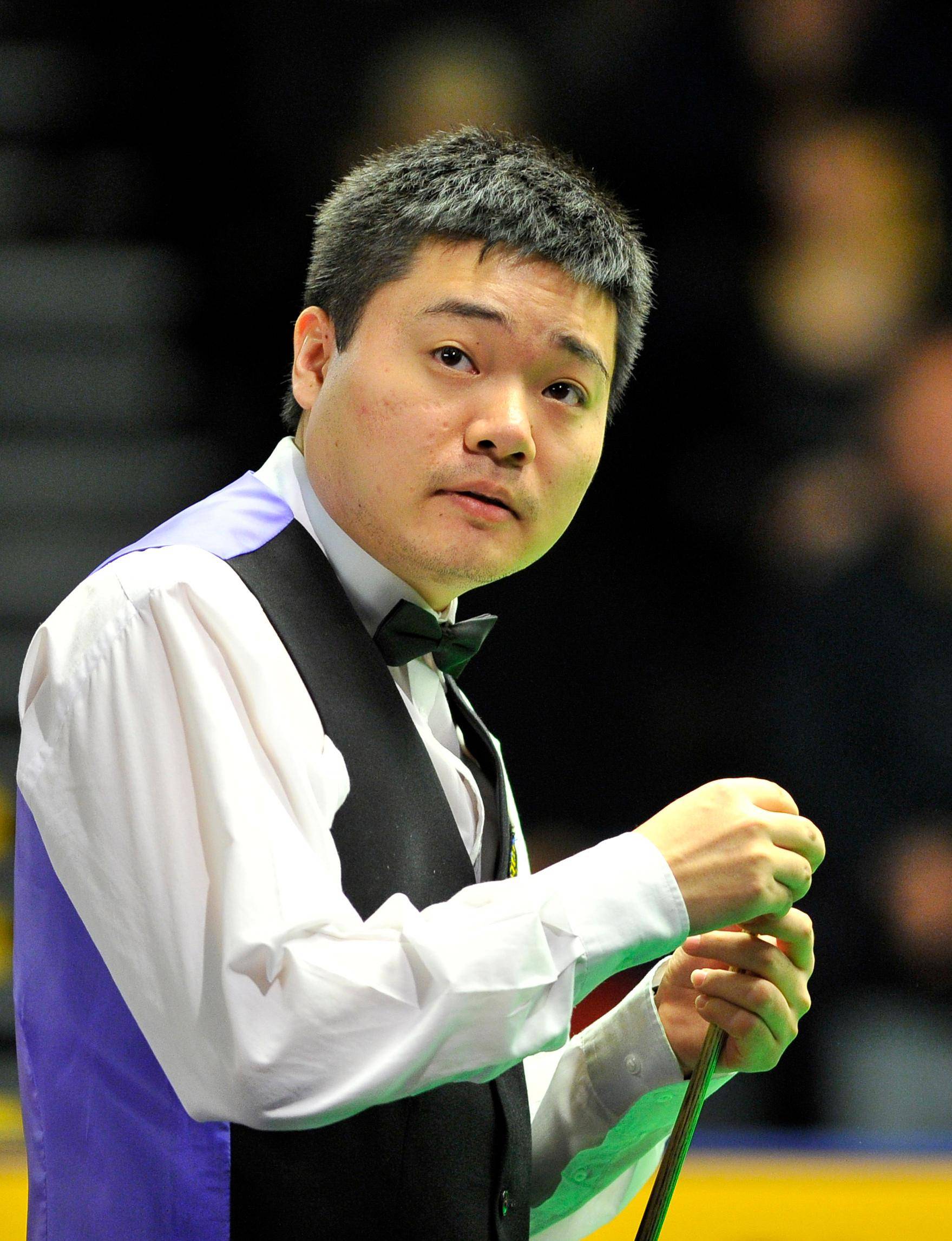 的年轻对手 的年轻对手