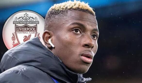 持续放大 持续放大